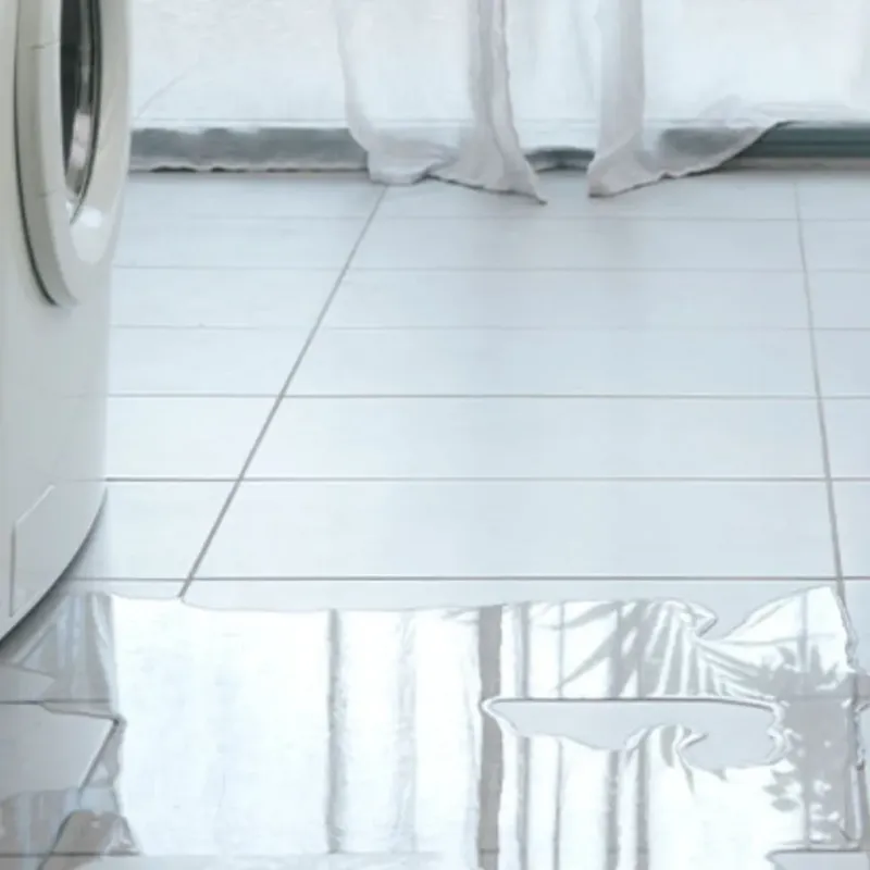 Appliance Leak Cleanup in Wetherington, OH