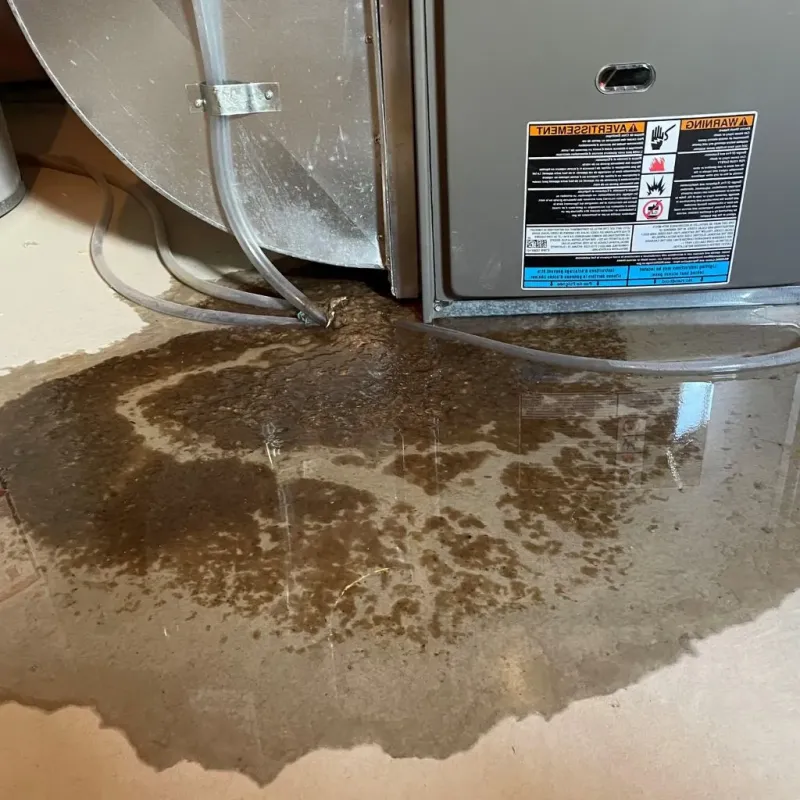 Pipe Burst and Leak Restoration in Wetherington, OH