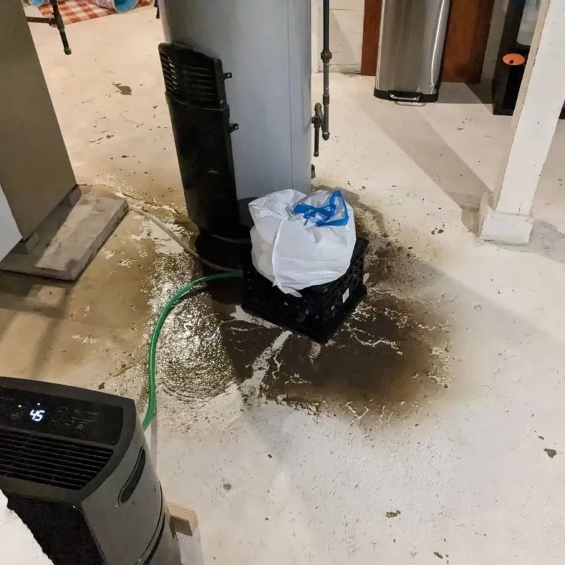 Sewage Backup Cleanup Service in Wetherington, OH